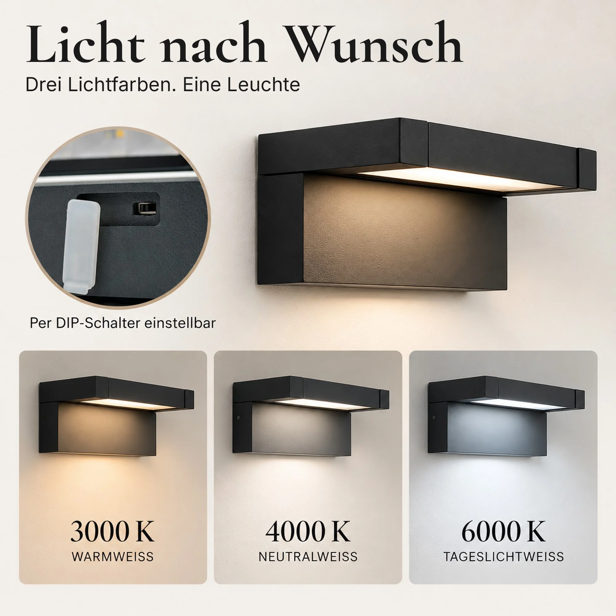 Ledyra Zeno – LED-Außenwandleuchte – Anthrazit – 13 W – Lichtfarbe einstellbar – Eigenschaften im Überblick